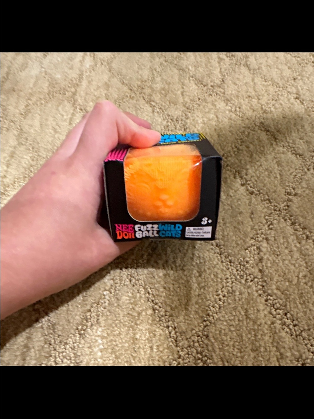 Schylling NeeDoh Wild Cats Fuzz Ball Orange 26089HY Squishy New Sealed Authentic